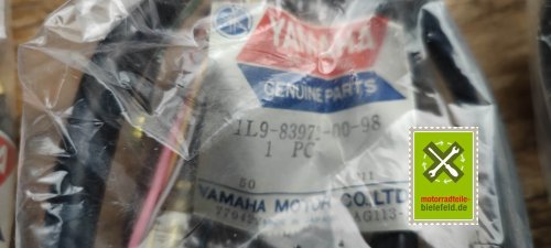 IMG_20230827_122654